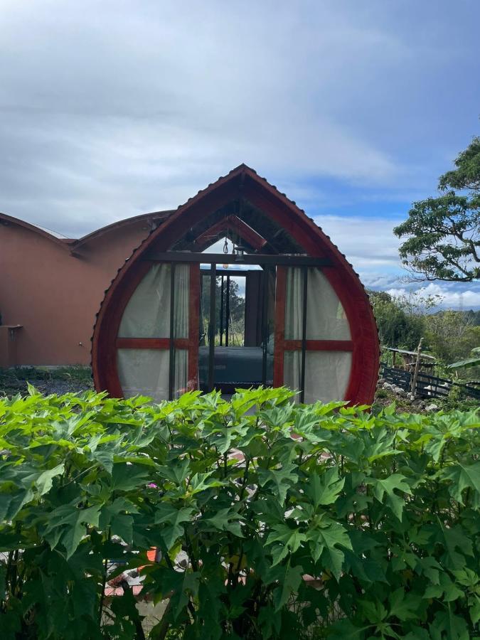Hotel Glamping Campo Alegre Cartago Zewnętrze zdjęcie